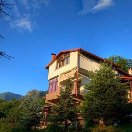 Militsa Guesthouse Naousa  Exterior foto