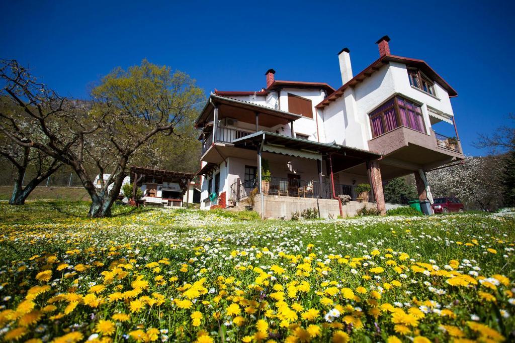 Militsa Guesthouse Naousa  Exterior foto